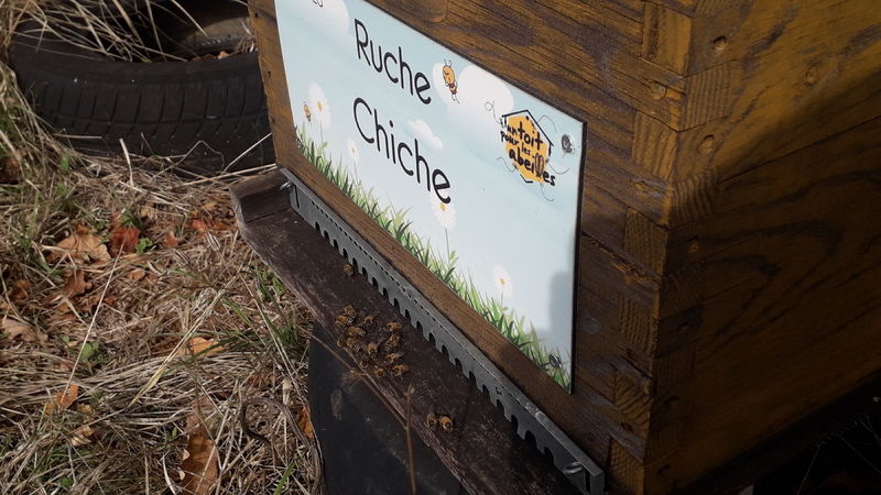La ruche Chiche