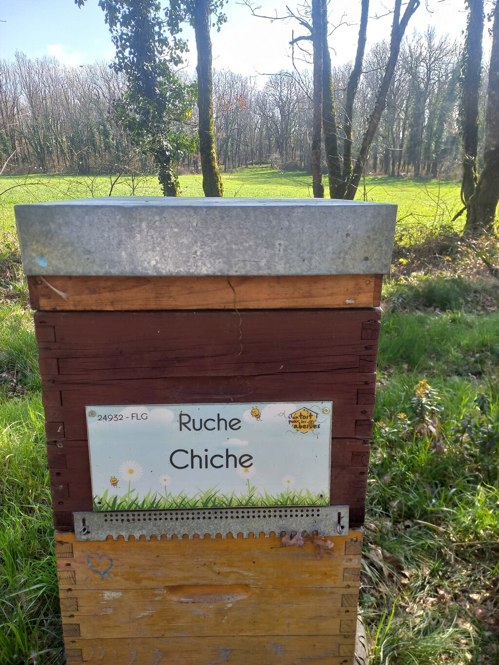 La ruche Chiche