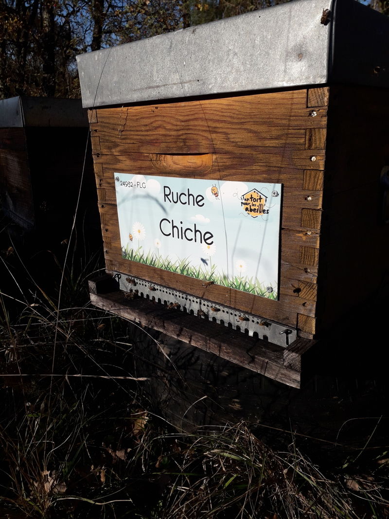 La ruche Chiche