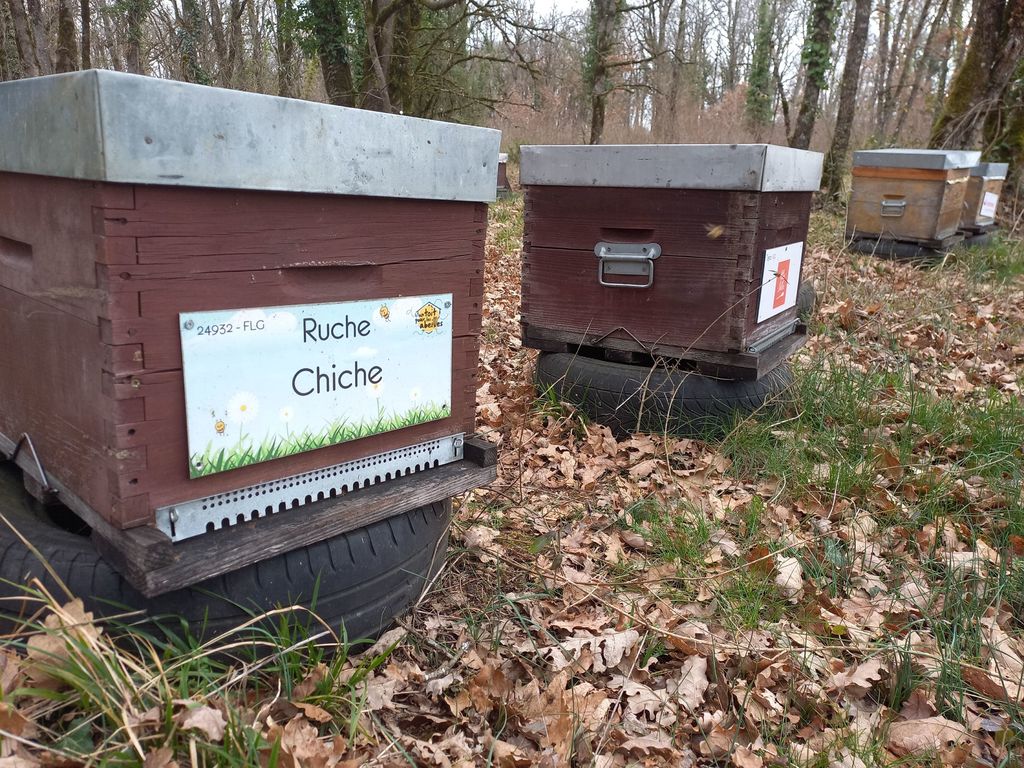 La ruche Chiche