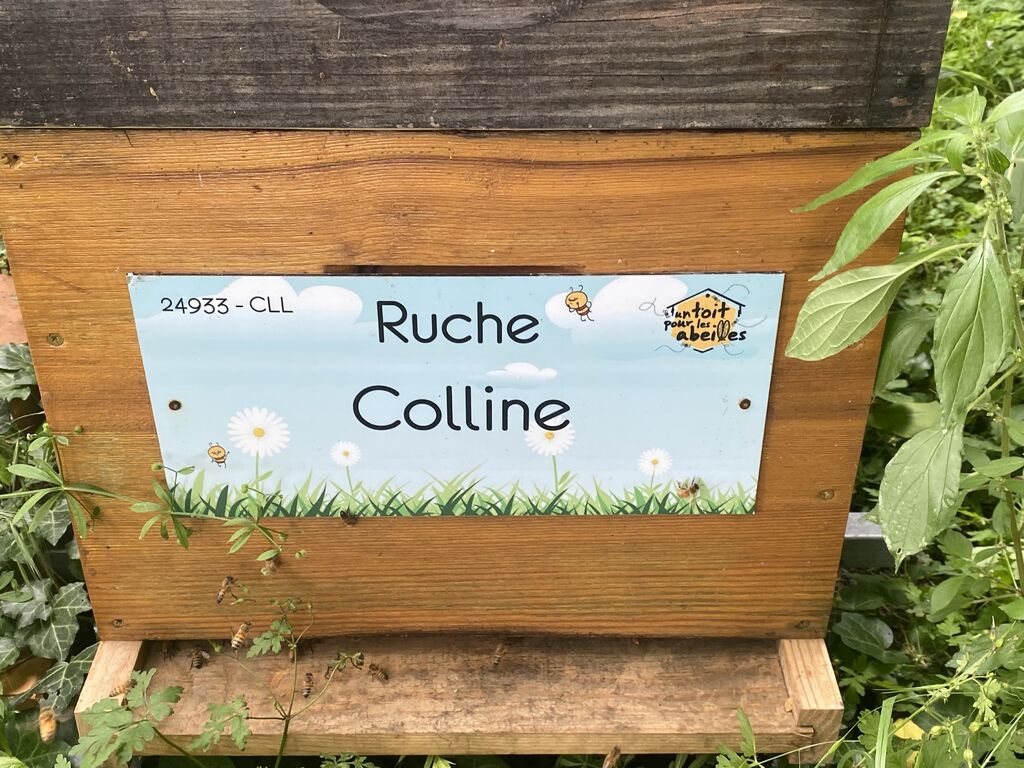 La ruche Colline