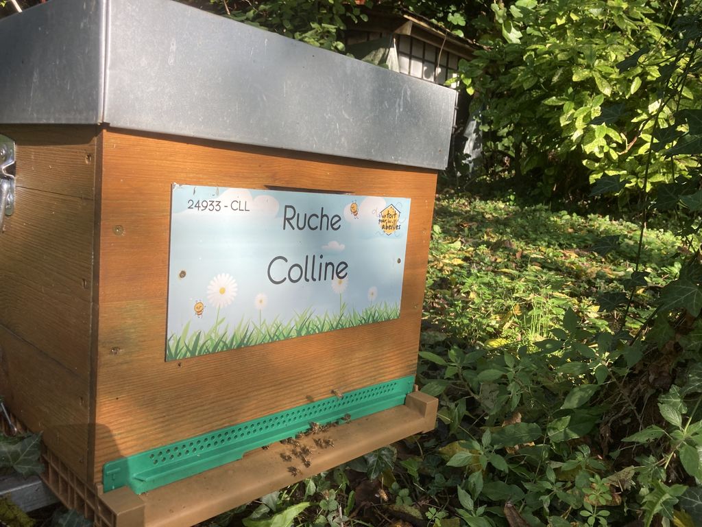 La ruche Colline