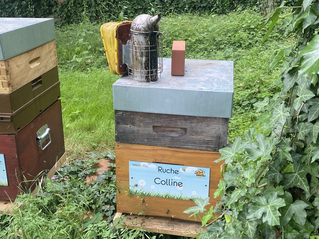 La ruche Colline