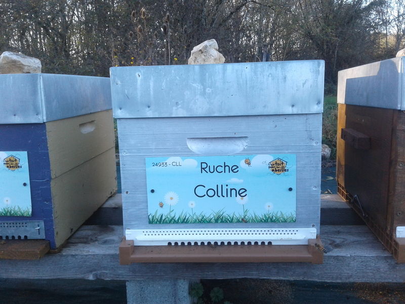 La ruche Colline