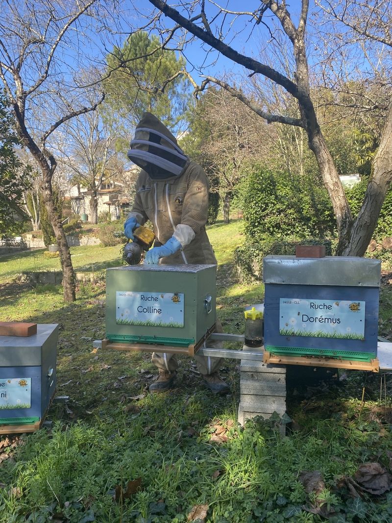 La ruche Colline