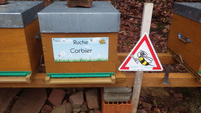 La ruche