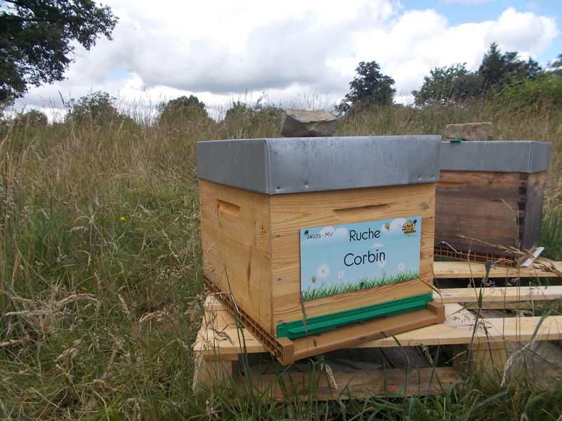 La ruche Corbin