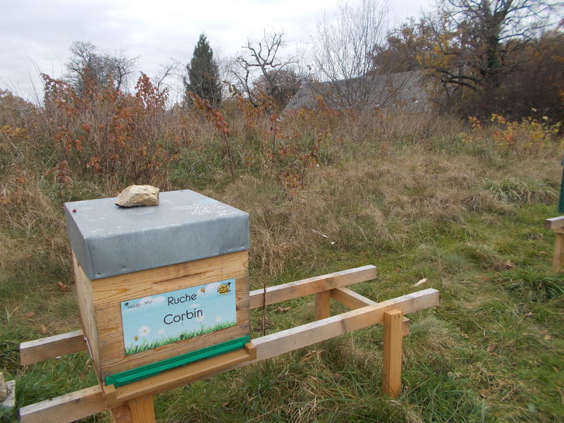La ruche Corbin