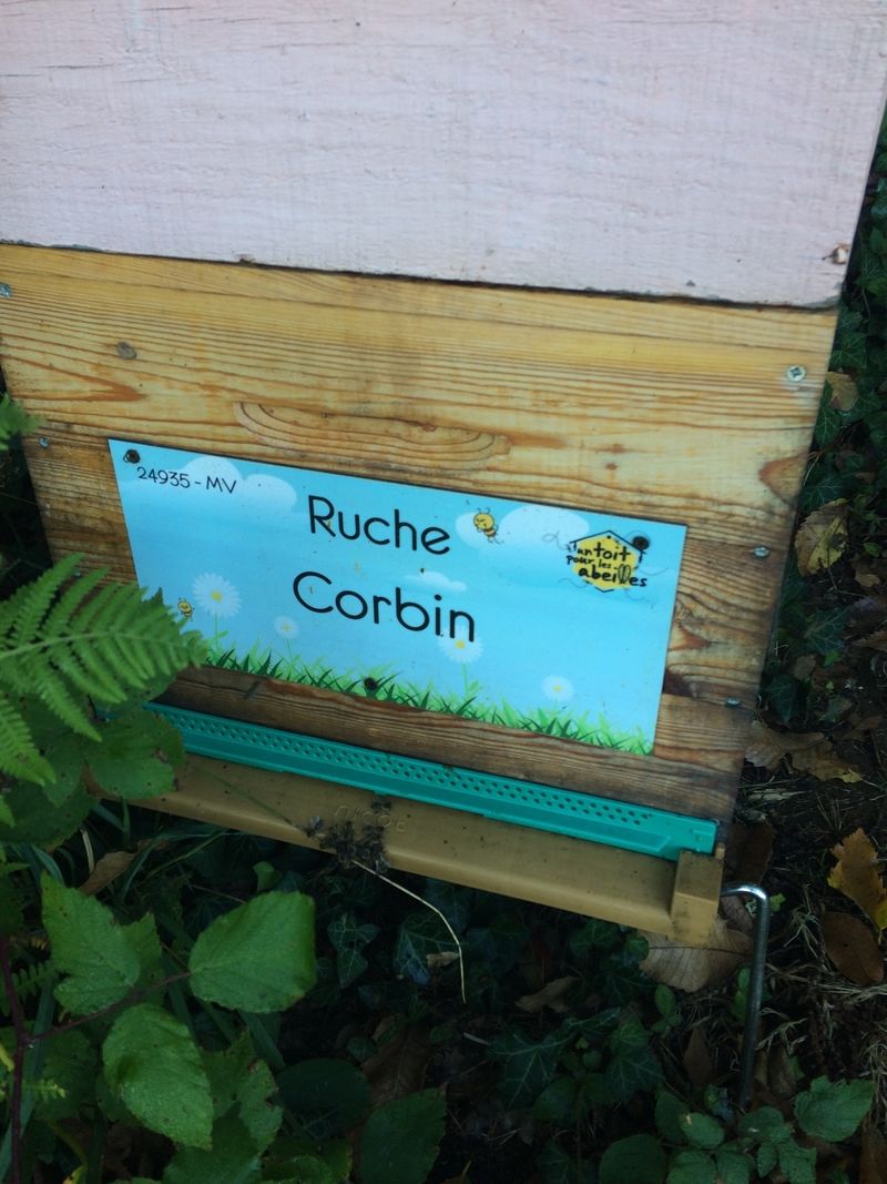 La ruche Corbin