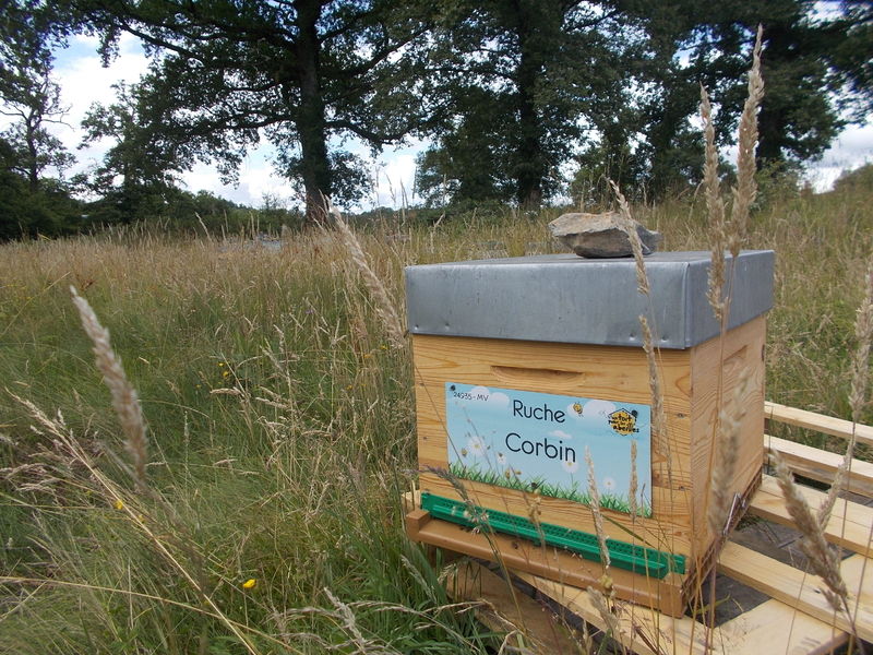 La ruche Corbin