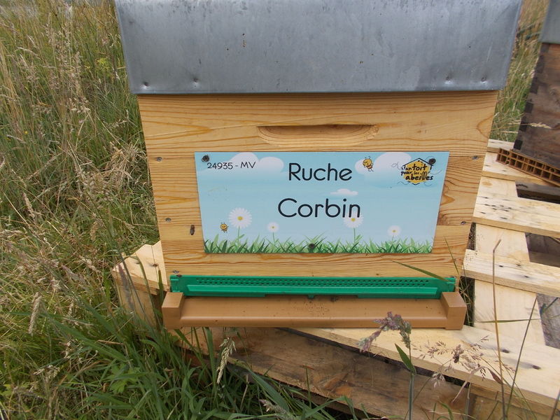 La ruche