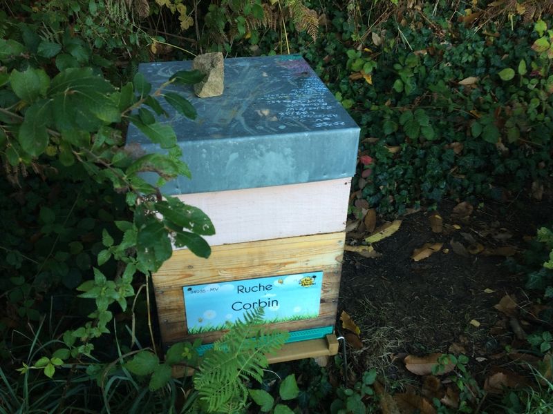 La ruche Corbin