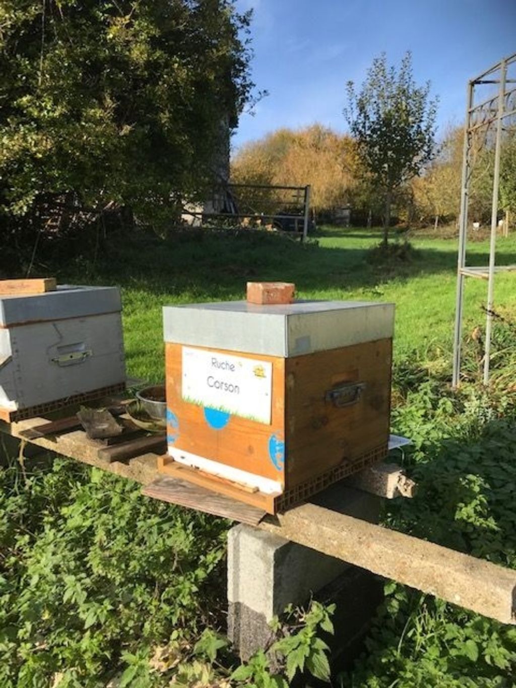 La ruche Corson