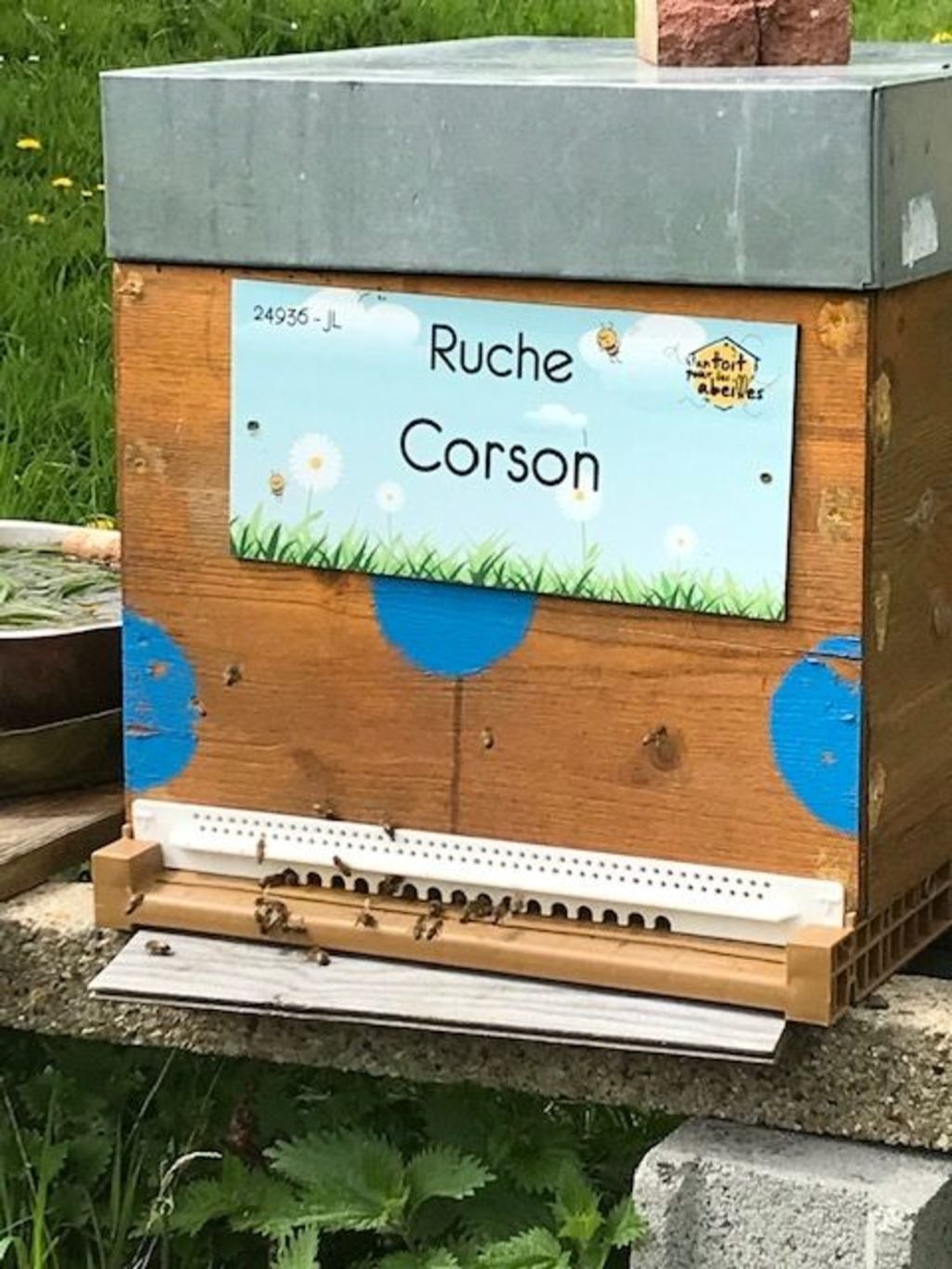 La ruche Corson