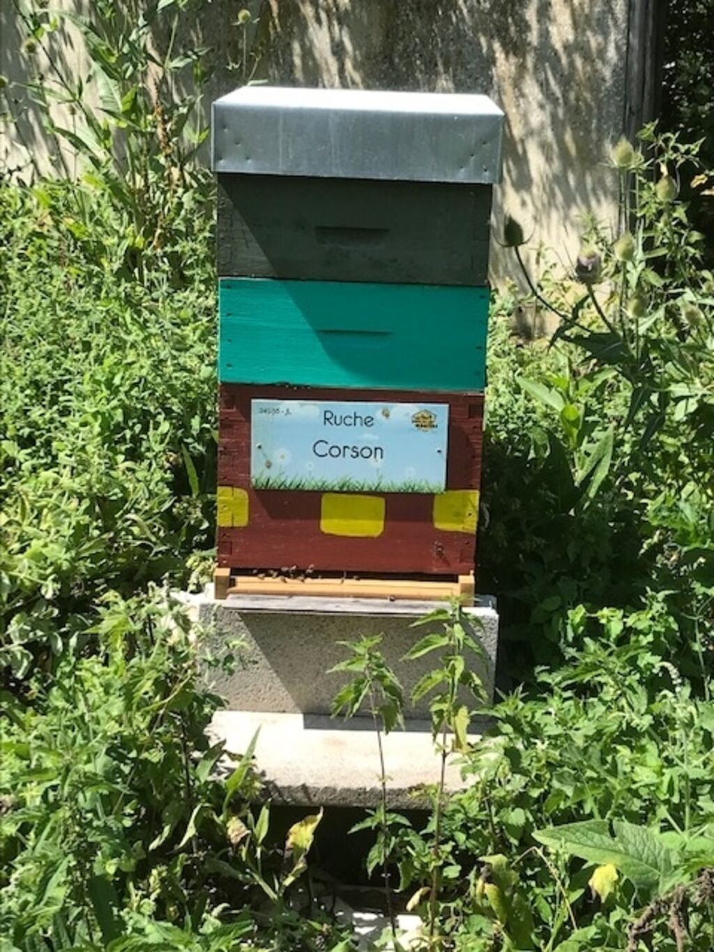 La ruche Corson