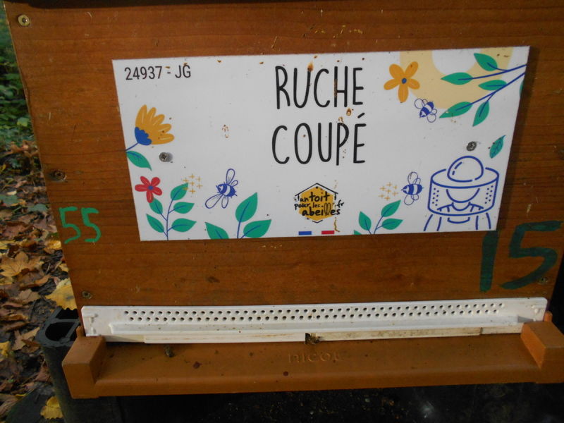 La ruche Coupé