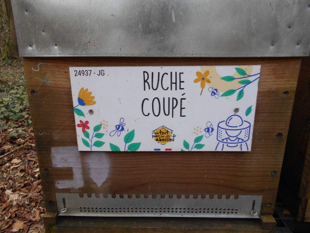 La ruche Coupé
