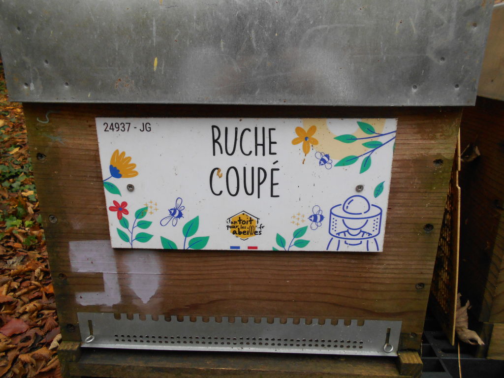 La ruche Coupé