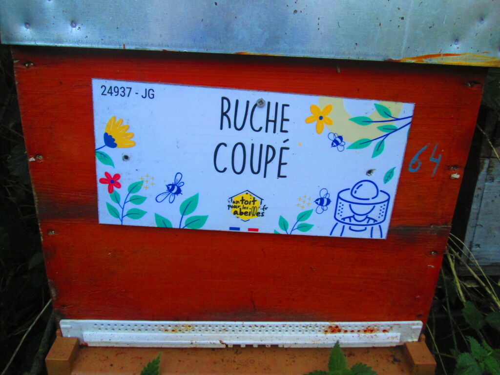 La ruche Coupé