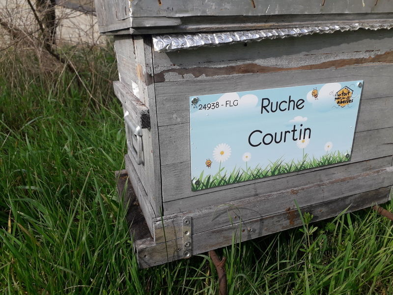 La ruche Courtin