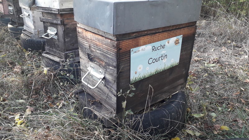 La ruche Courtin