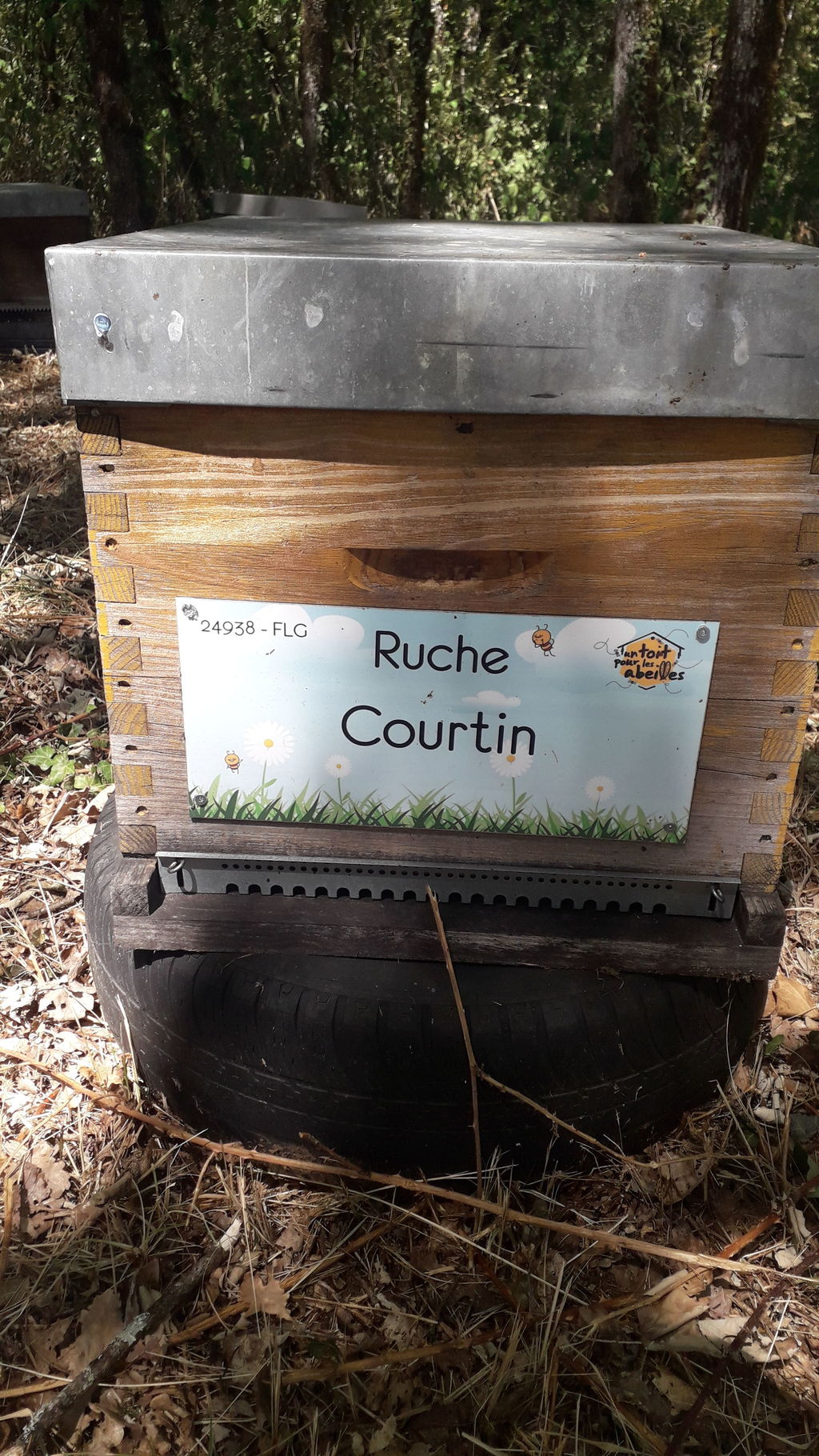 La ruche Courtin
