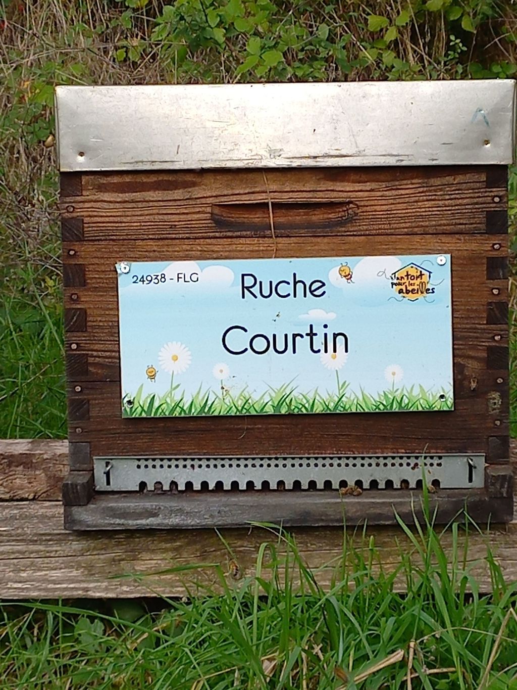 La ruche Courtin