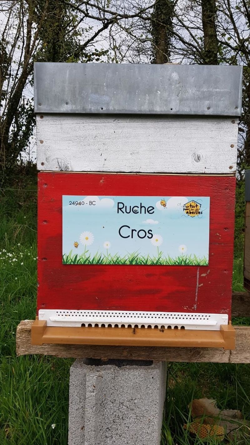 La ruche Cros