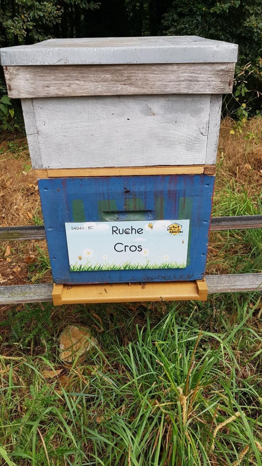 La ruche Cros