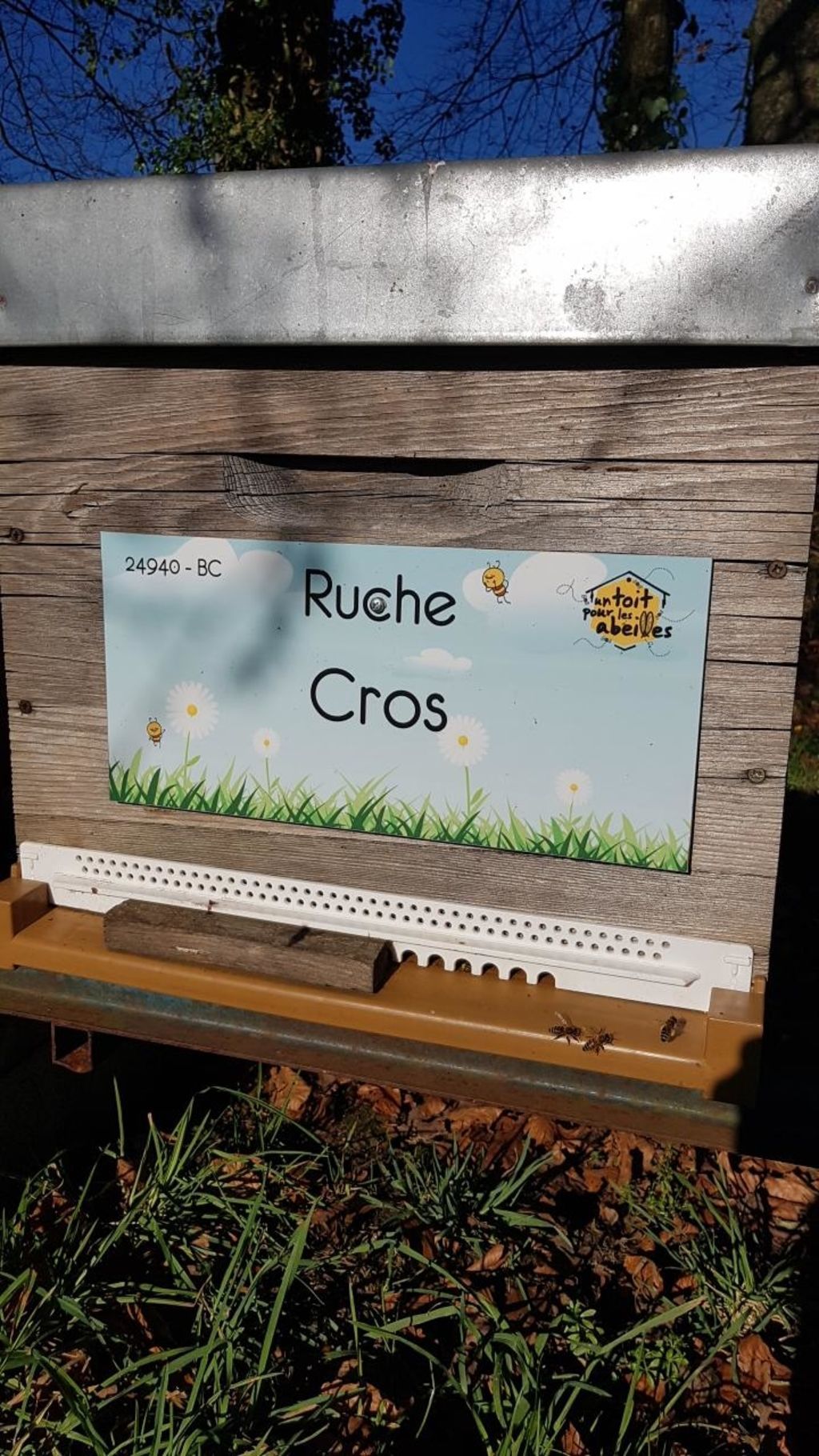 La ruche Cros