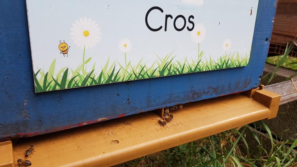 La ruche Cros