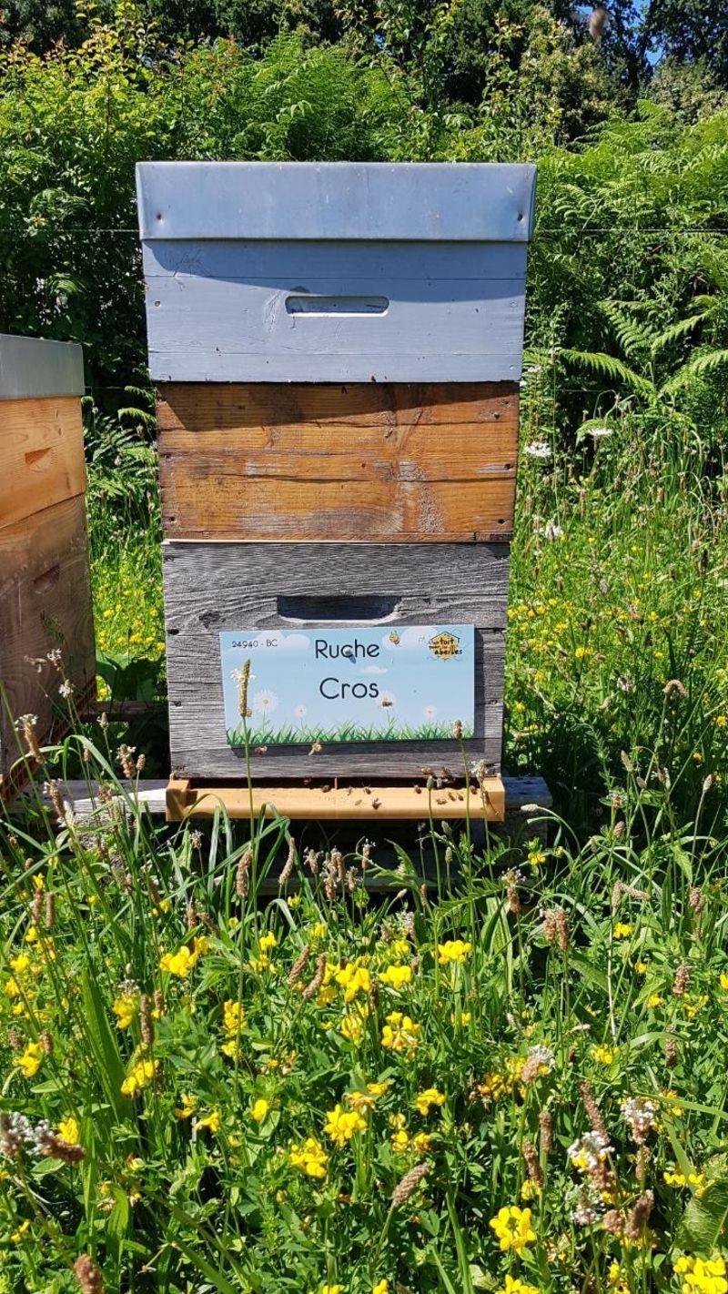 La ruche Cros