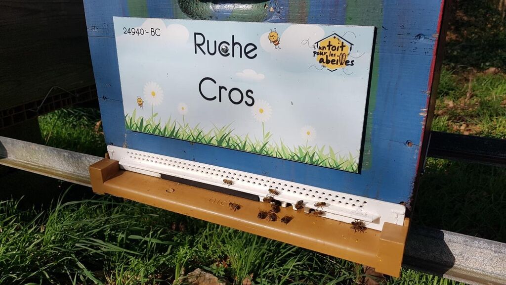 La ruche Cros