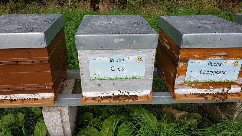 La ruche Cros