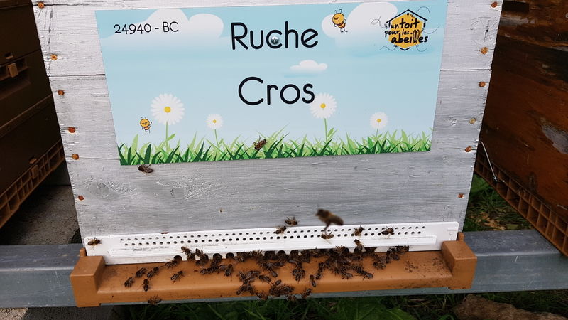 La ruche Cros