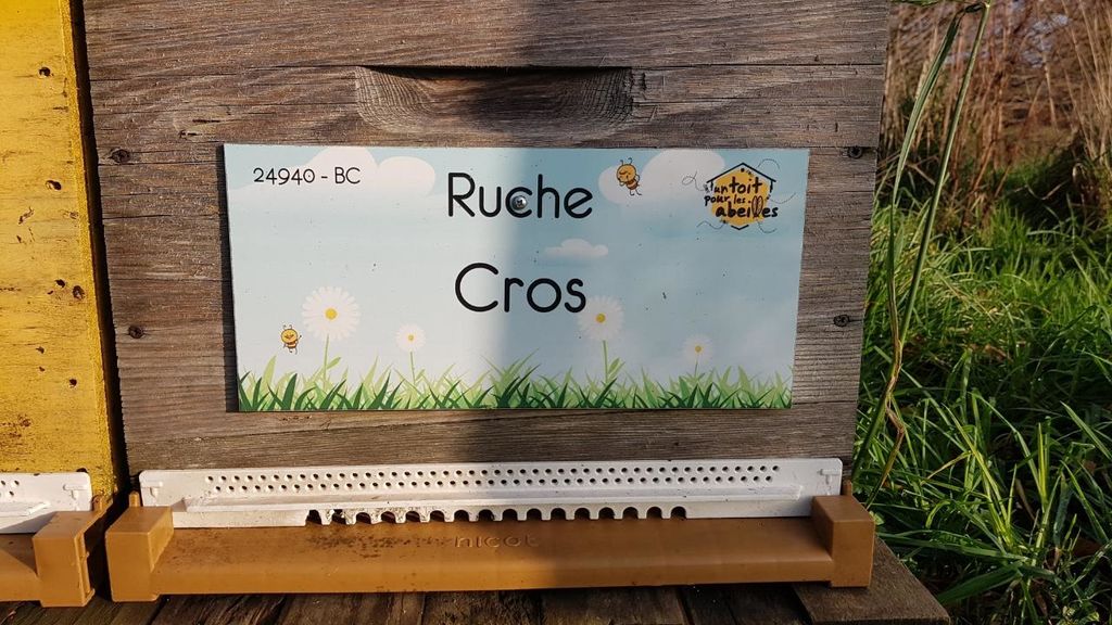 La ruche Cros