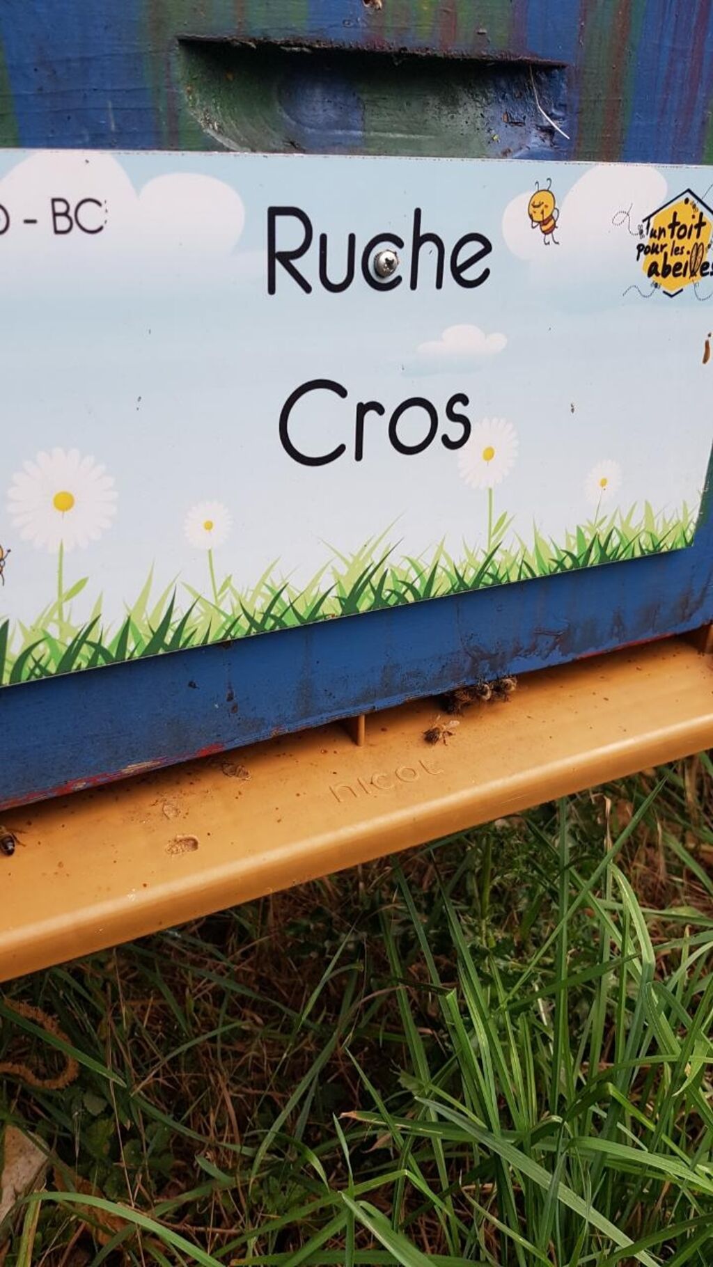 La ruche Cros