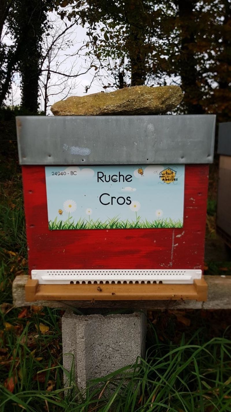 La ruche Cros