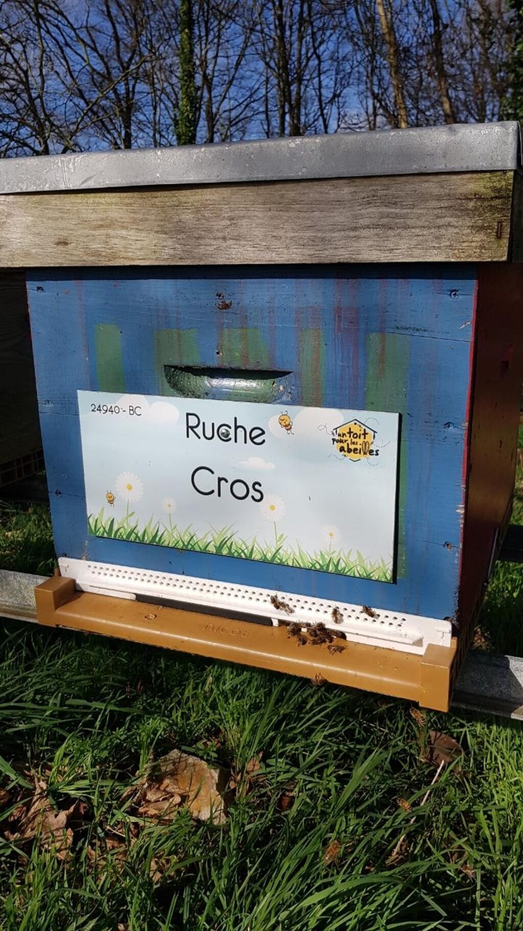 La ruche Cros