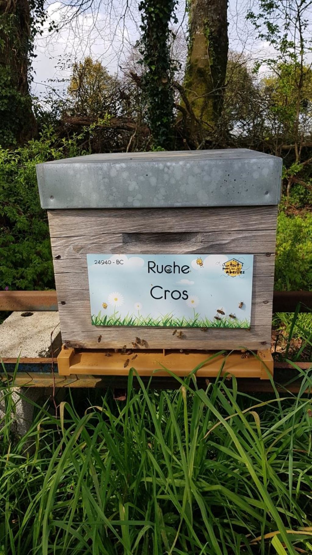 La ruche Cros