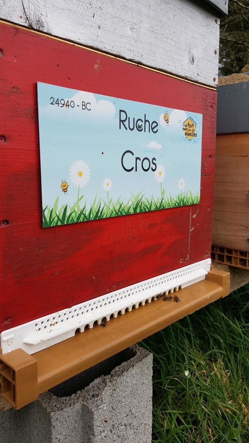 La ruche Cros