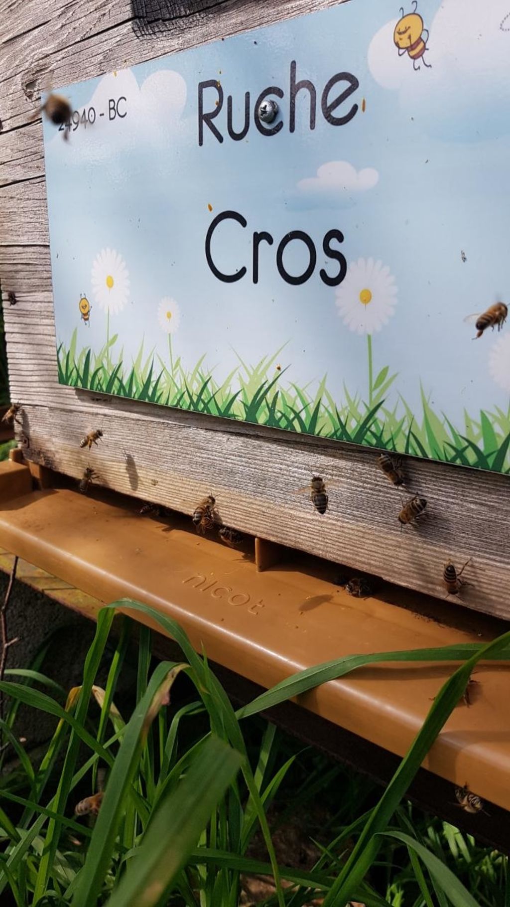 La ruche Cros