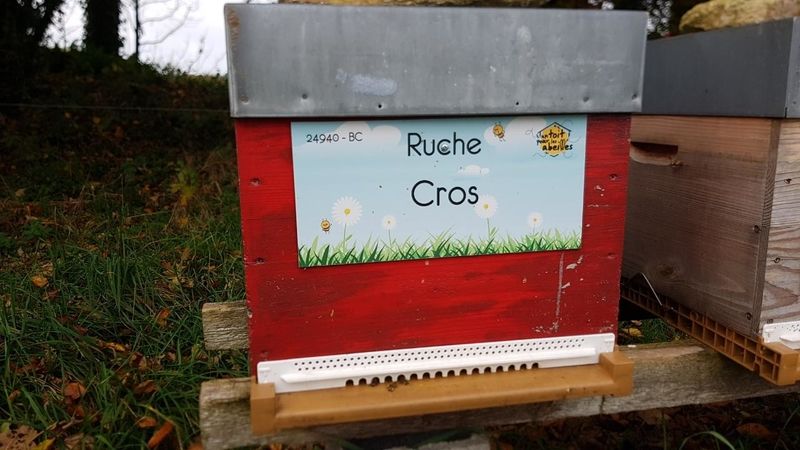 La ruche Cros