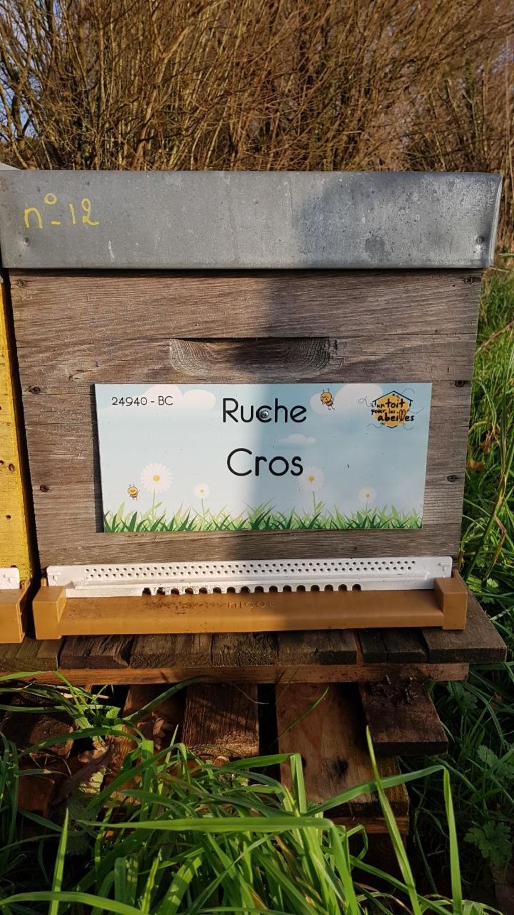 La ruche Cros
