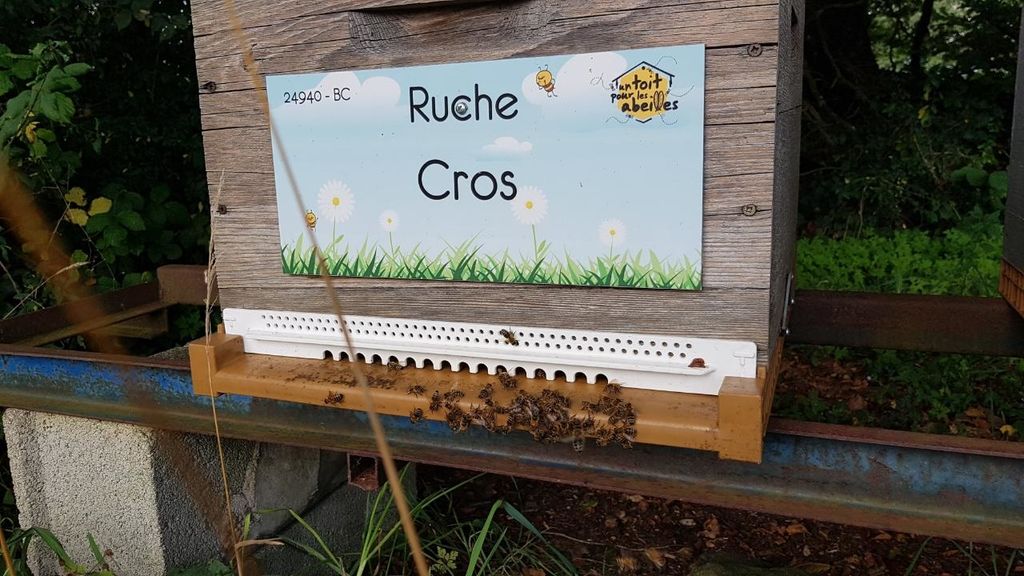 La ruche Cros
