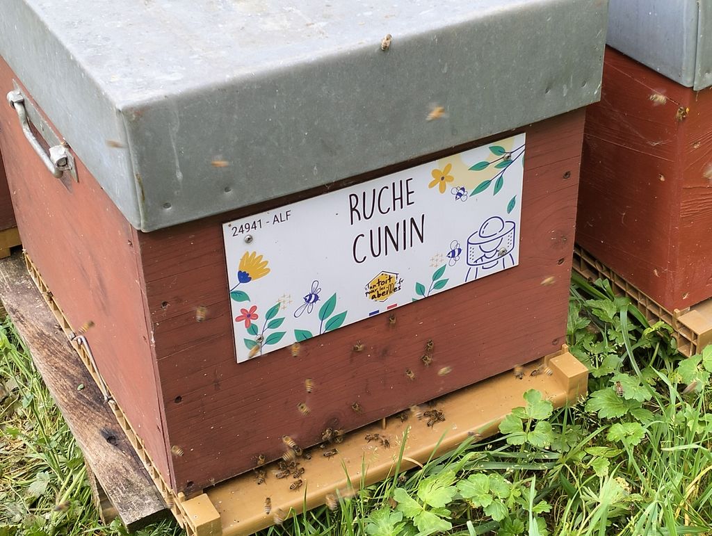 La ruche Cunin