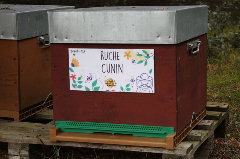 La ruche Cunin