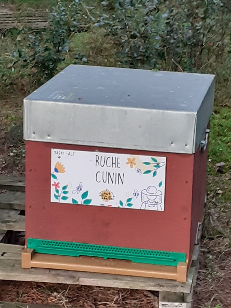 La ruche Cunin