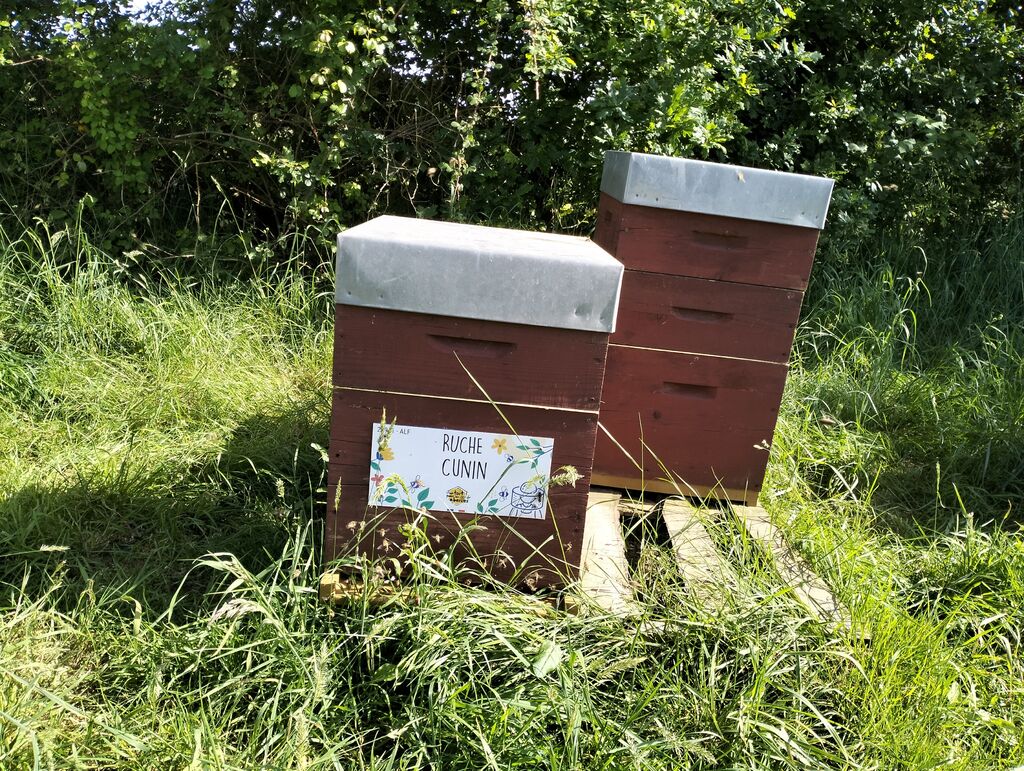 La ruche Cunin