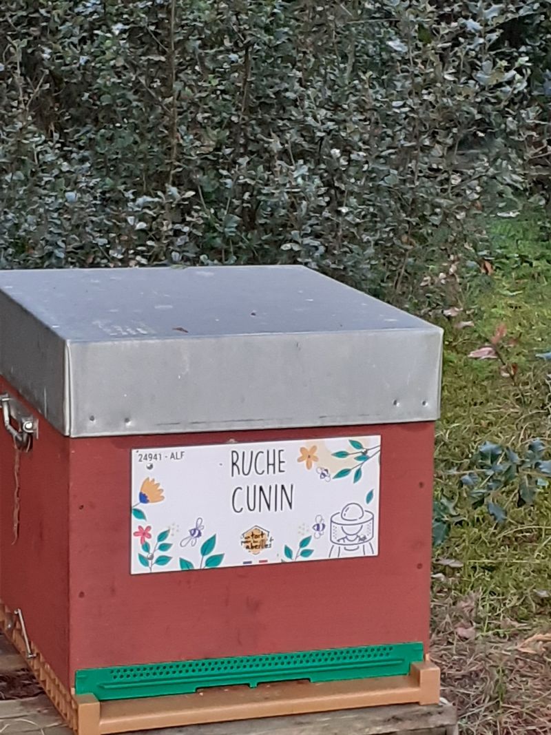 La ruche Cunin